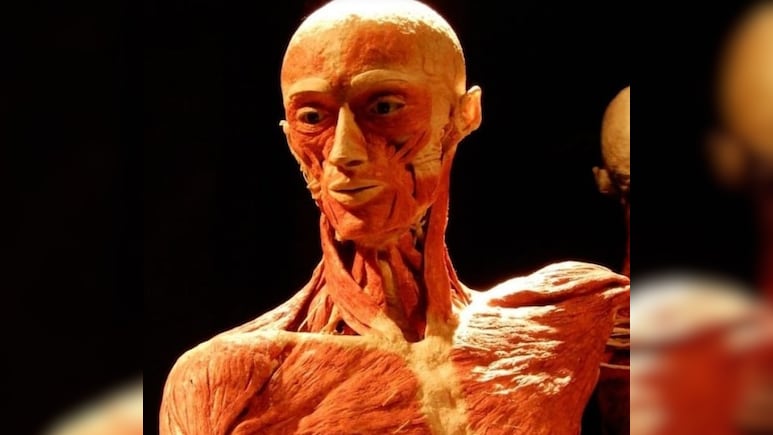 इस म्यूजियम में लगी थी मुर्दों की प्रदर्शनी...देखने पहुंची मां का फट पड़ा कलेजा, जब देखा अपने बेटे का शव