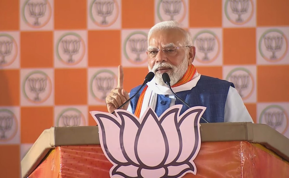 RJD Stalled Bihar Projects After Nitish Kumar Came To Power: PM Modi