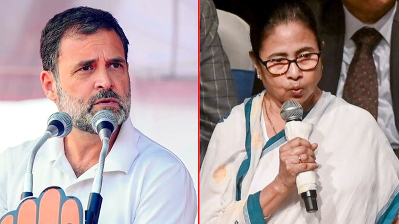 Mamata Must Lead INDIA Bloc, Says TMC; Congress Vows To Go Solo in Bengal Polls