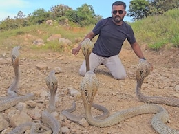 शख्स के सामने फन फैलाए बैठे थे 5 ज़हरीले कोबरा, कर रहा था छूने की कोशिश, आगे जो हुआ, Video देख दहल उठेगा दिल