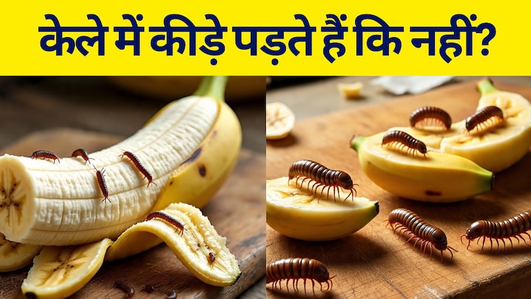 केले में कीड़े पड़ते हैं कि नहीं? क्‍या है पूरा सच