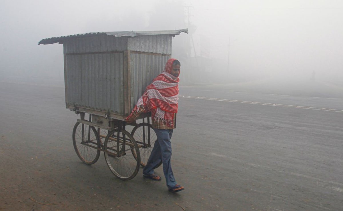 Latest and Breaking News on NDTV Latest and Breaking News on NDTV