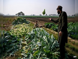 India's Indus Waters Treaty Suspension Puts Pakistan At 'Acute Risk' Of Scarcity: Report India's Indus Waters Treaty Suspension Puts Pakistan At 'Acute Risk' Of Scarcity: Report