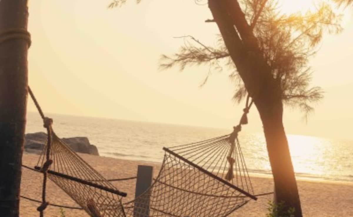 Latest and Breaking News on NDTV Latest and Breaking News on NDTV