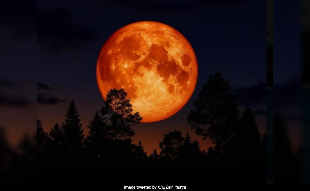 Beaver Supermoon lighting up the November sky