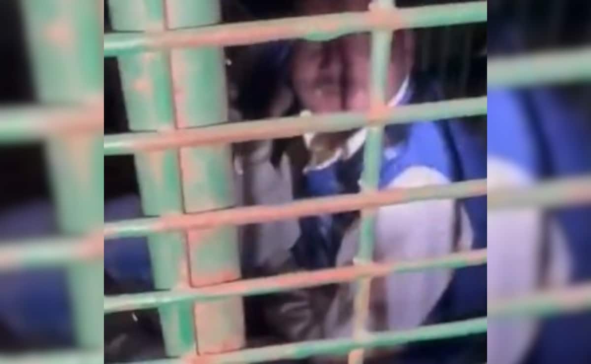 UP Man Stuck In Leopard Cage. He Allegedly Entered To Take Goat Kept As Bait