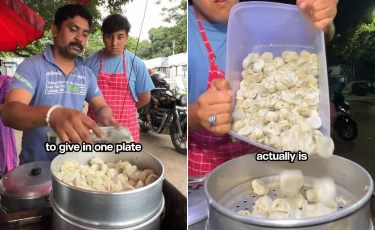 मोमो वाला कितना कमा लेता है? इन्फ्लुएंसर ने एक दिन Momo वाले के साथ रहकर किया चौंकाने वाला खुलासा