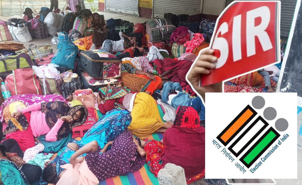 NDTV EXCLUSIVE: बांग्लादेश बॉर्डर पर बंगाल से भागते अवैध प्रवासियों की भीड़, SIR का साइड इफेक्ट