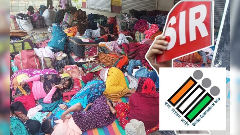 NDTV EXCLUSIVE: बांग्लादेश बॉर्डर पर बंगाल से भागते अवैध प्रवासियों की भीड़, SIR का साइड इफेक्ट