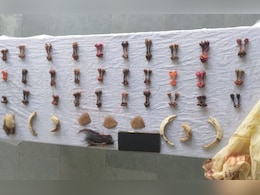 तीर्थनगरी में अवैध कारोबार! ओंकारेश्वर में वन्यजीवों के अंग बेच रही थी महिला, वन अमले ने किया गिरफ्तार