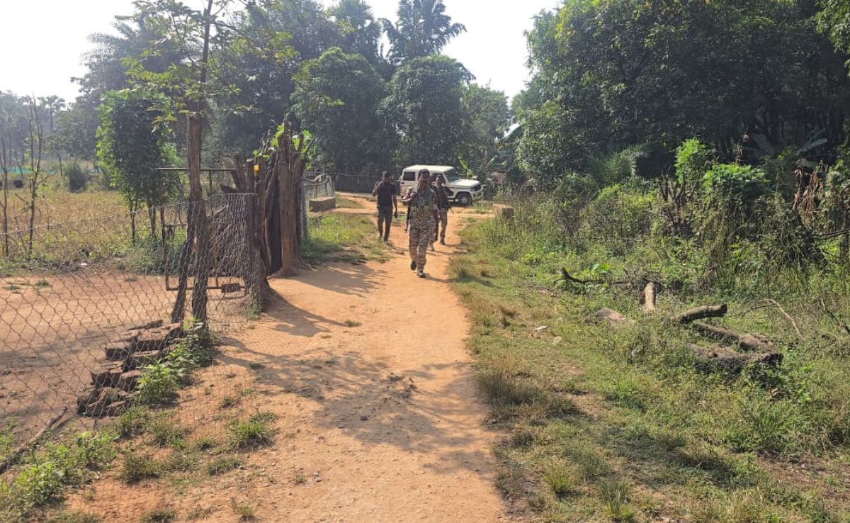 Latest and Breaking News on NDTV Latest and Breaking News on NDTV