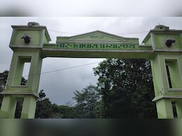 बटरफ्लाई एंड मॉथ सर्वे: इस अभ्यारण्य में हैं तितलियों की 150 से ज्यादा प्रजातियां, पारिस्थितिक महत्व को समझने का मिलेगा मौका