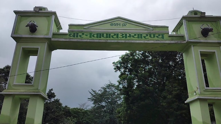 बटरफ्लाई एंड मॉथ सर्वे: इस अभ्यारण्य में हैं तितलियों की 150 से ज्यादा प्रजातियां, पारिस्थितिक महत्व को समझने का मिलेगा मौका बटरफ्लाई एंड मॉथ सर्वे: इस अभ्यारण्य में हैं तितलियों की 150 से ज्यादा प्रजातियां, पारिस्थितिक महत्व को समझने का मिलेगा मौका