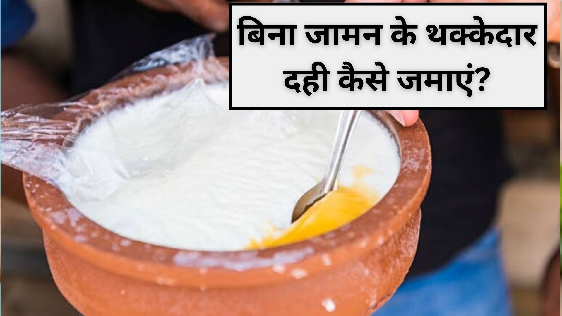 बिना जामन के थक्केदार दही कैसे जमाएं, आसान ट्रिक देख हो जाएंगे हैरान