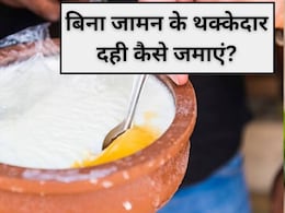 बिना जामन के थक्केदार दही कैसे जमाएं, आसान ट्रिक देख हो जाएंगे हैरान