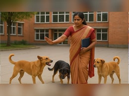 शिक्षकों को आवारा कुत्तों की निगरानी सौंपने पर गरमाई सियासत, पूर्व सीएम सिंहदेव ने सरकार को दी ये सीख
