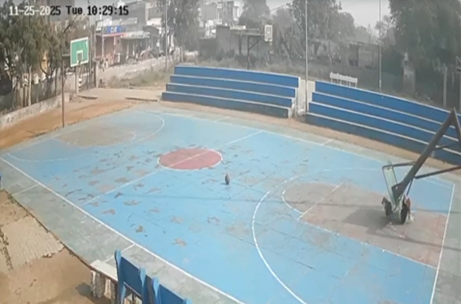 On Camera, Teen Basketball Player Dies In Freak Court Accident In Rohtak