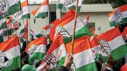 Congress Show-Causes 43 Leaders For Anti-Party Activity During Bihar Polls