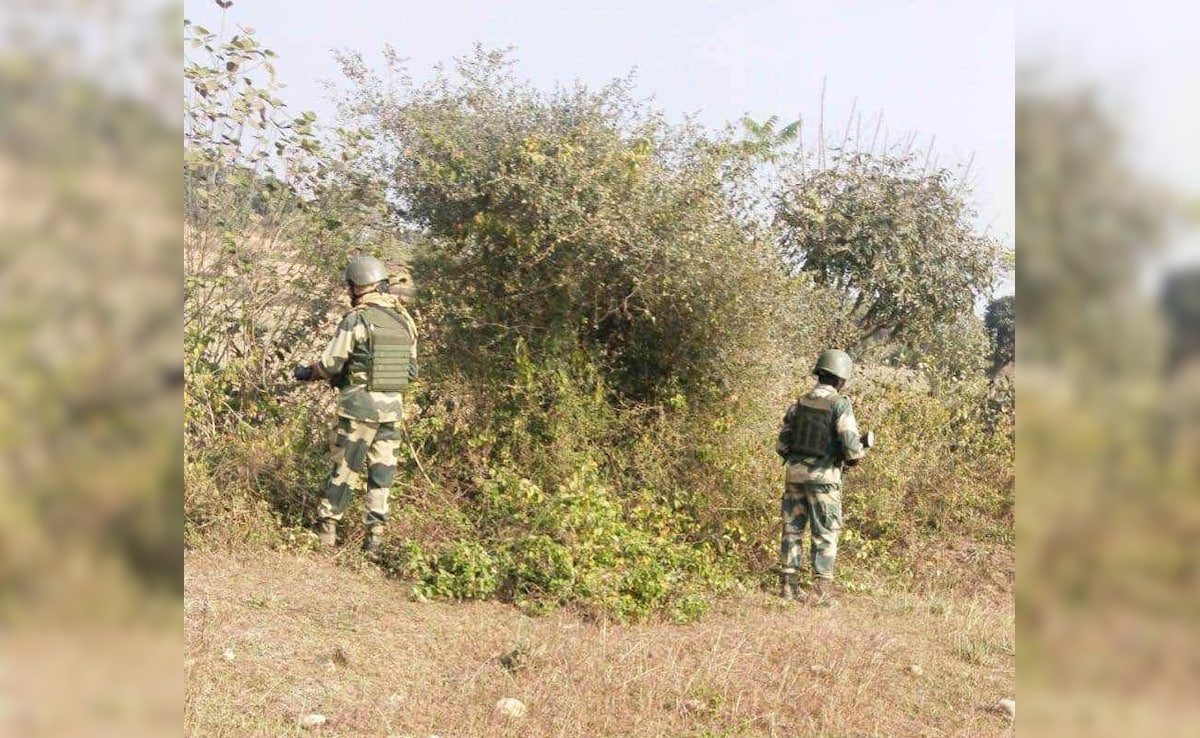 Latest and Breaking News on NDTV