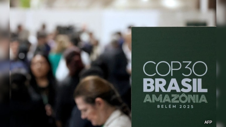 1 In Every 25 Attendees: Big Oil Lobbyists Swarm COP30 In Record Numbers