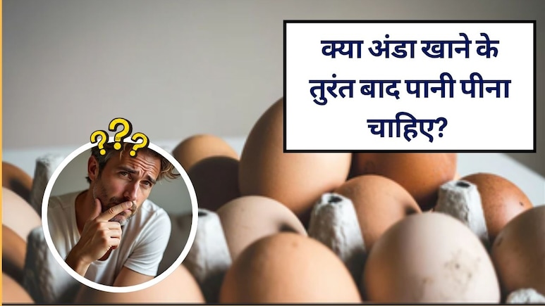 क्या अंडा खाने के तुरंत बाद पानी पीना चाहिए? जानिये सच, मिथक और डॉक्टरी सलाह