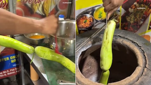 तंदूरी घिया ने मचाया तहलका! ‘लौकी भर्ता’ की अनोखी रेसिपी वायरल, यूजर्स बोले- आलू की जगह नहीं ले सकता