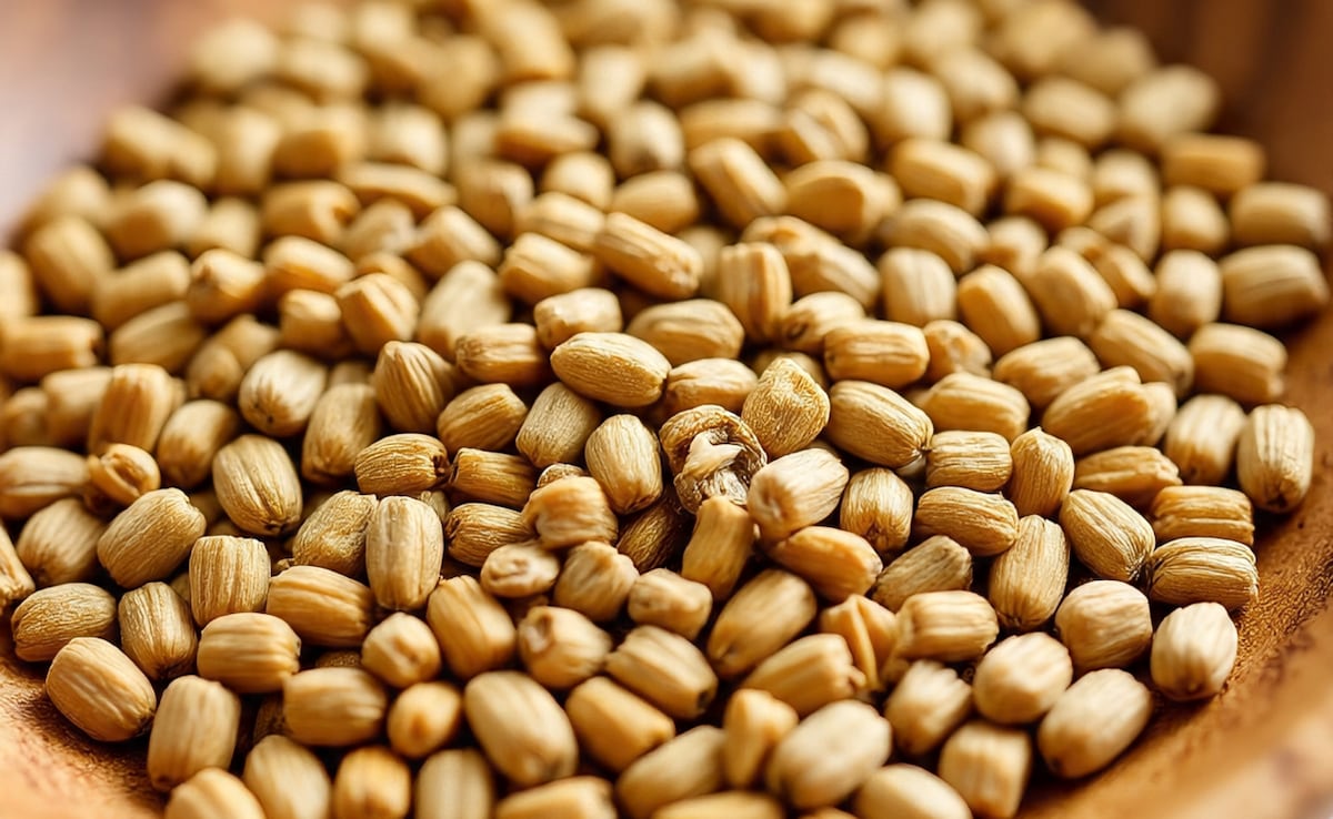 Latest and Breaking News on NDTV Latest and Breaking News on NDTV