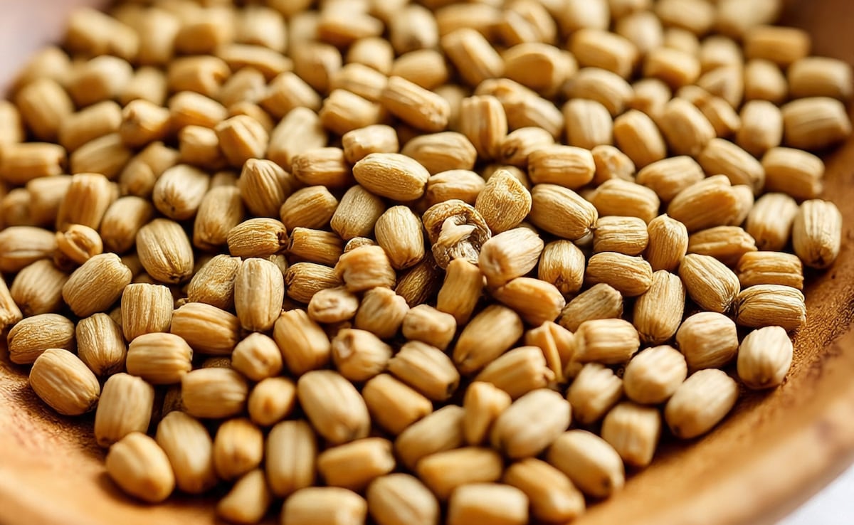 14 दिनों तक मेथी दाना खाने से आपके शरीर में क्या होता है?