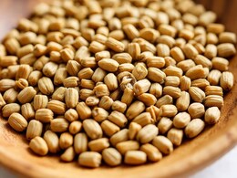 14 दिनों तक मेथी दाना खाने से आपके शरीर में क्या होता है?