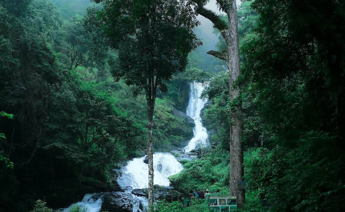 Latest and Breaking News on NDTV Latest and Breaking News on NDTV