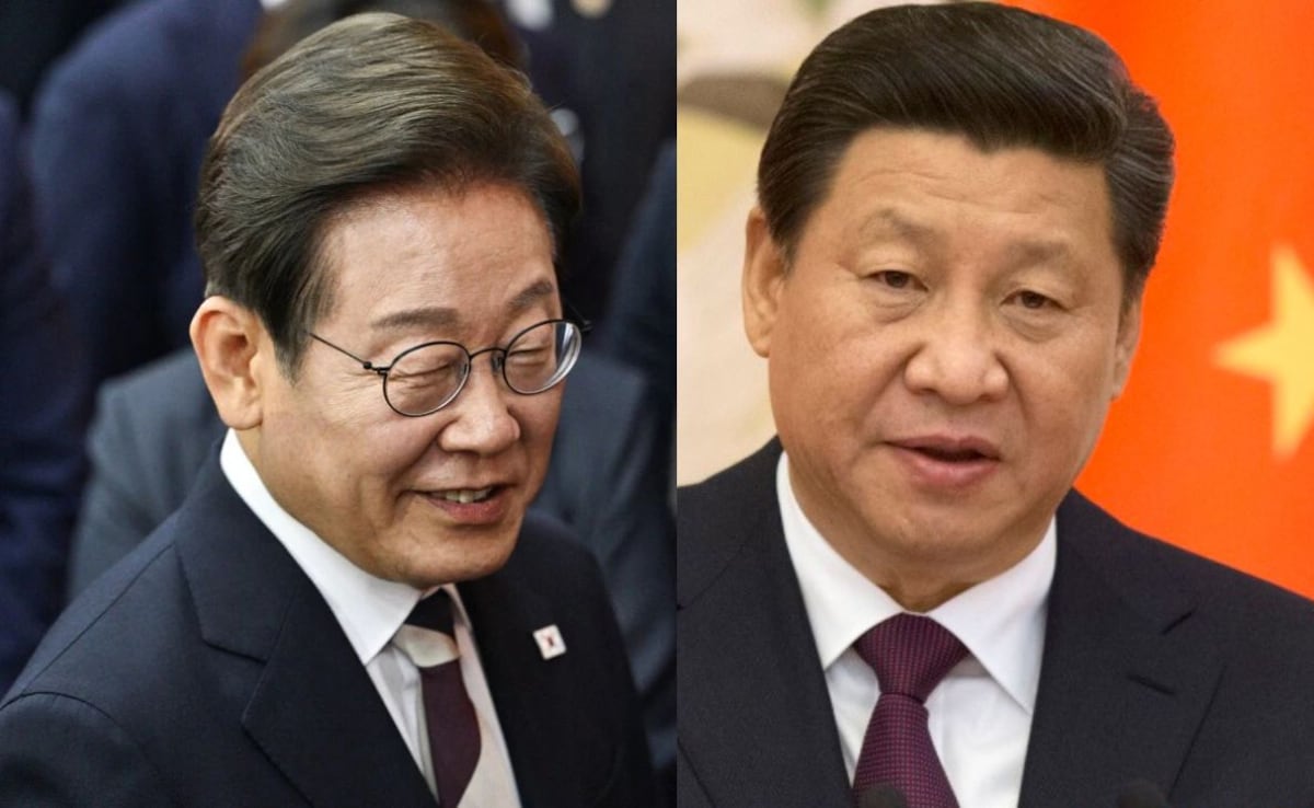 "Important Neighbours": South Korea Hosts Xi For First Time Since 2014