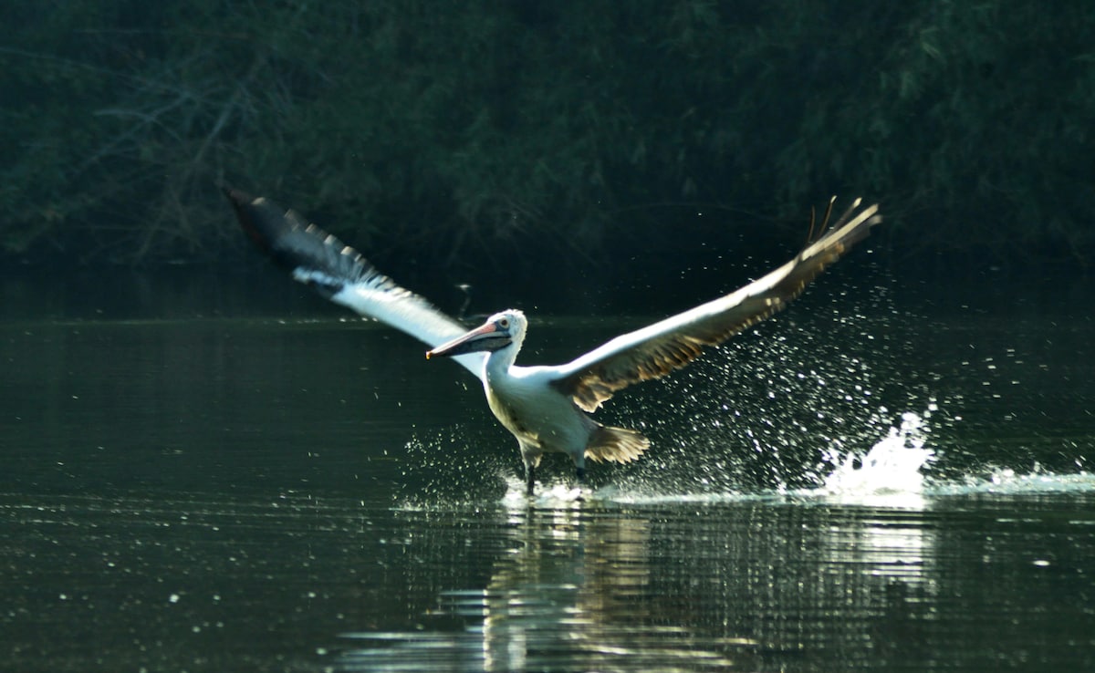 Latest and Breaking News on NDTV Latest and Breaking News on NDTV