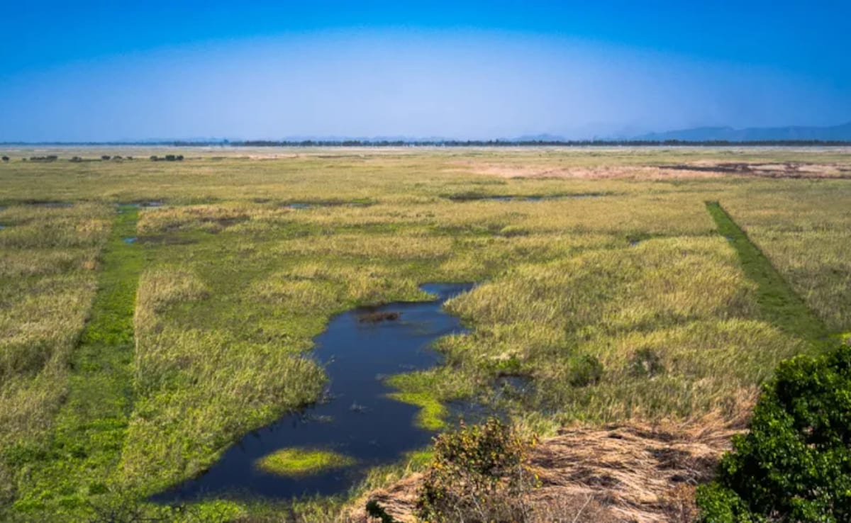 Latest and Breaking News on NDTV Latest and Breaking News on NDTV