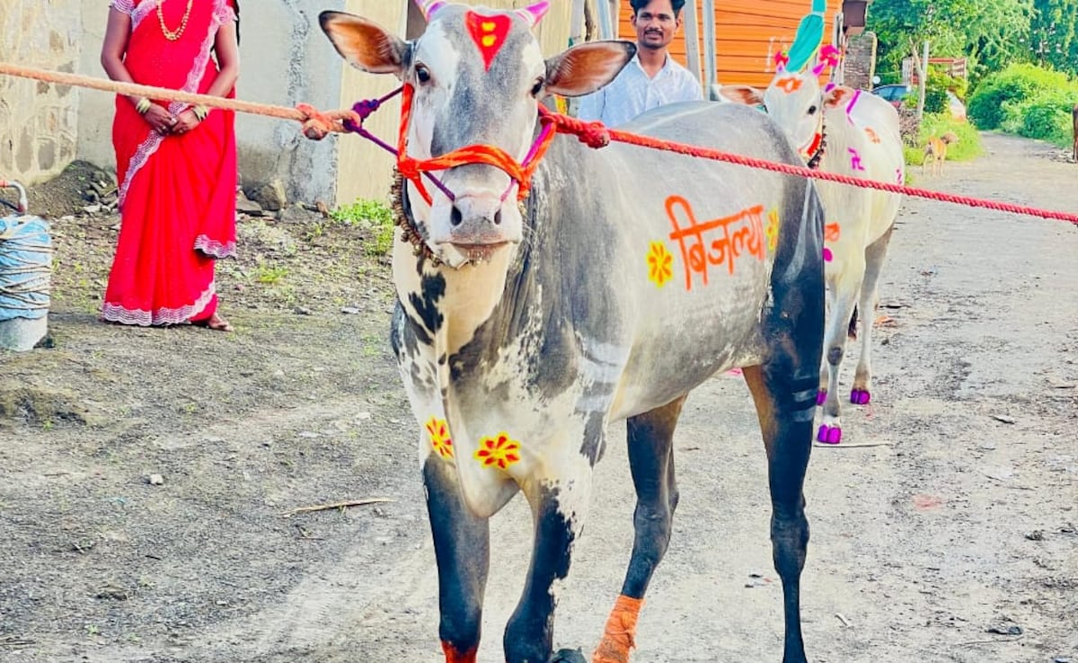 Latest and Breaking News on NDTV Latest and Breaking News on NDTV