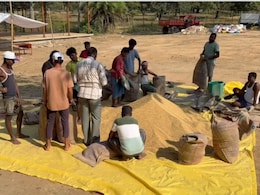 Dhan Kharidi: दंतेवाड़ा में धान खरीद की रफ्तार सुस्त, अब तक सिर्फ 155 क्विंटल हुई खरीदी, सहायक समिति प्रबंधक उमेश कुमार साहू निलंबित