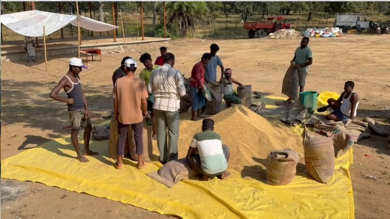 Dhan Kharidi: दंतेवाड़ा में धान खरीद की रफ्तार सुस्त, अब तक सिर्फ 155 क्विंटल हुई खरीदी, सहायक समिति प्रबंधक उमेश कुमार साहू निलंबित