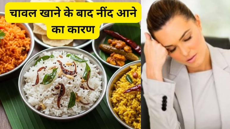 चावल खाने के बाद नींद क्यों आती है? जानिए इसके पीछे क्या राज छुपा है
