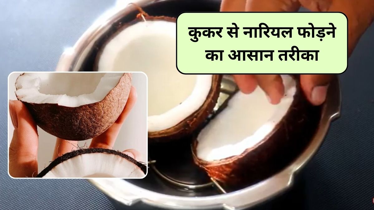 Crack Coconut Tips: अब नारियल फोड़ना बच्चों का खेल, कुकर से नारियल छिलने की ये न्यू ट्रिक, 5 मिनट में हो जाएगा काम