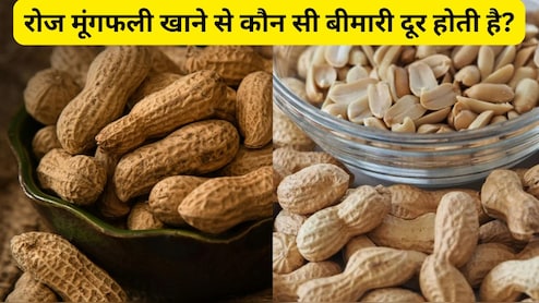 रोज मूंगफली खाने से कौन सी बीमारी दूर होती है? इन 3 विटामिन्स का है खजाना
