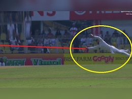 10 फीट की छलांग, एडन मार्क्रम ने 'सुपरमैन' बनकर लपका करिश्माई कैच, मैदान पर हर तरफ छा गया सन्नाटा, Video