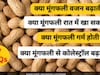एक दिन में कितनी मूंगफली खा सकते हैं? कौन लोग बिल्कुल भी न खाएं? फायदे, नुकसान और 17 सवालों के जवाब
