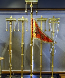 अयोध्या धर्म ध्वजारोहण समारोह: झंडे में कोविदारा पेड़ और सूर्य का क्या मतलब है?