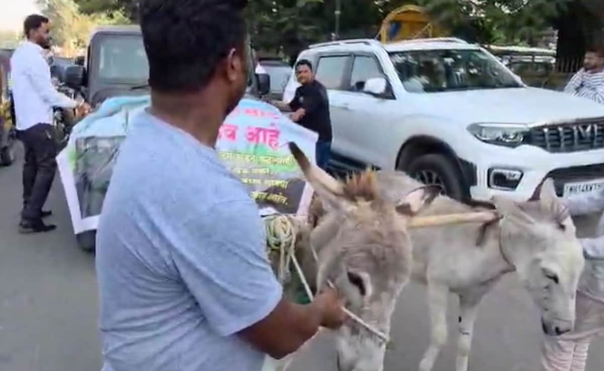 Fed Up With Thar Breaking Down, Pune Man Gets Donkeys To Pull It To Showroom