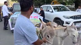 Fed Up With Thar Breaking Down, Pune Man Gets Donkeys To Pull It To Showroom