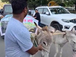 Fed Up With Thar Breaking Down, Pune Man Gets Donkeys To Pull It To Showroom