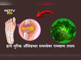 High Uric Acid: हाय युरिक अ‍ॅसिड समस्येमुळे त्रस्त आहात? हे हिरवेगार पान ठरेल वरदान, उपचाराची योग्य पद्धत वाचा