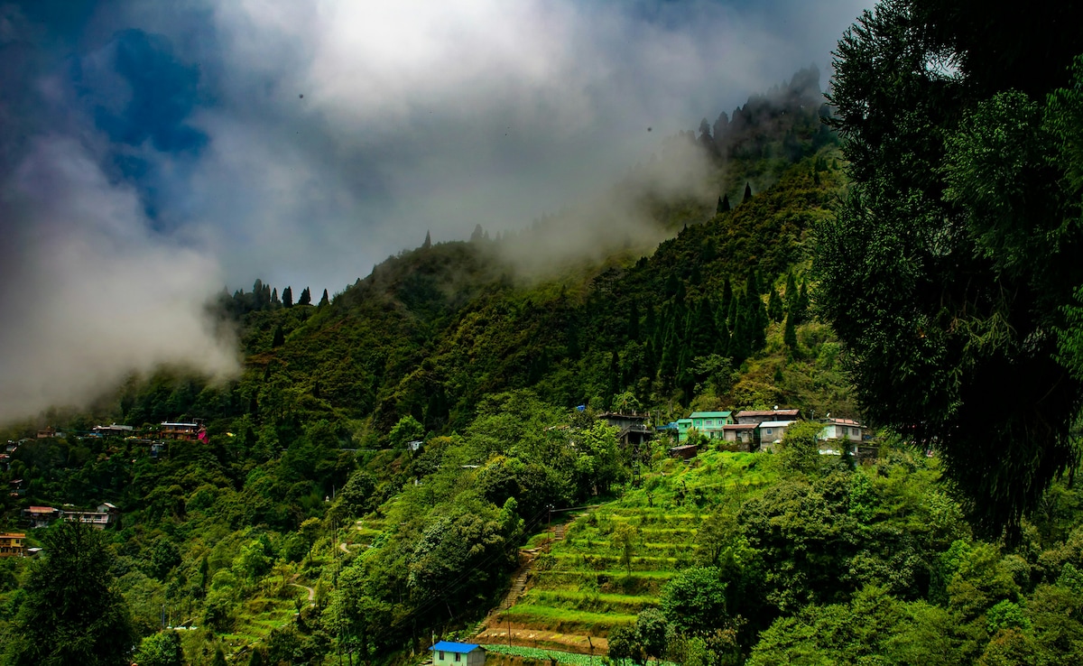 Latest and Breaking News on NDTV Latest and Breaking News on NDTV