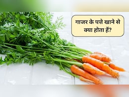 Carrot Leaves Benefits: गाजर के पत्ते खाने के क्या फायदे हैं? गाजर के पत्तों में कौन सा विटामिन होता है, जानिए कैसे करें सेवन