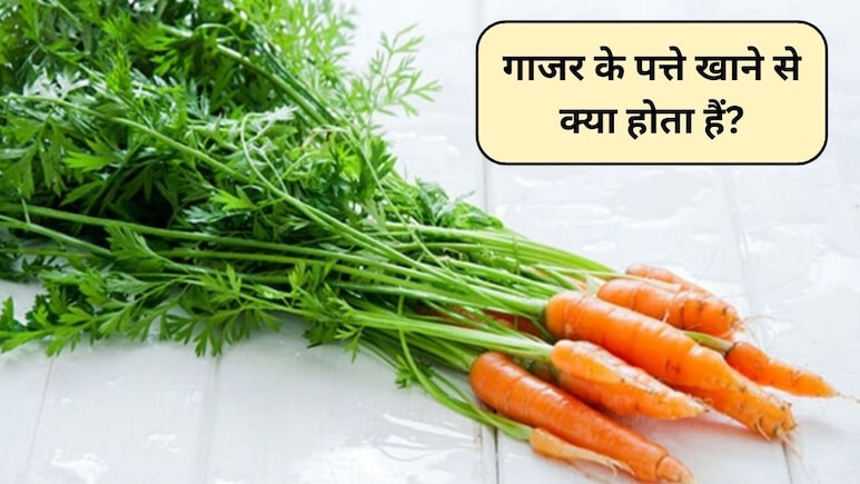Carrot Leaves Benefits: गाजर के पत्ते खाने के क्या फायदे हैं? गाजर के पत्तों में कौन सा विटामिन होता है, जानिए कैसे करें सेवन