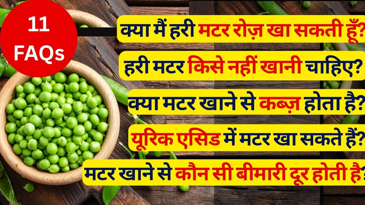क्या मैं हरी मटर रोज खा सकती हूं, मटर से गैस और कब्‍ज होती है, यूरिक एसिड में मटर खाना चाहिए या नहीं? इसके फायदे-नुकसान | 11 FAQs